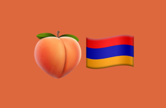 25 Prunus Armeniaca_ The Golden Apricot