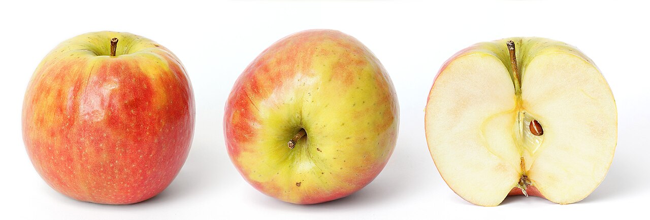 Photo of a food item